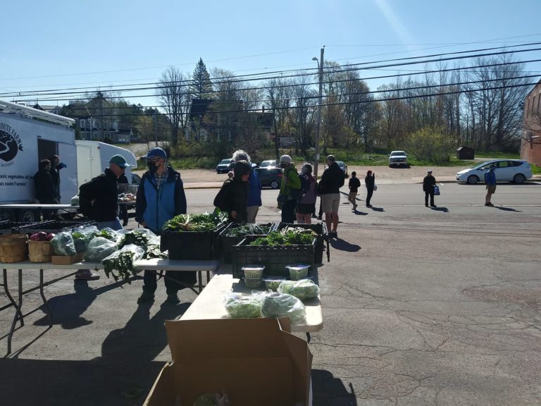 The Check-In: Sackville Farmers Market opens Saturday
