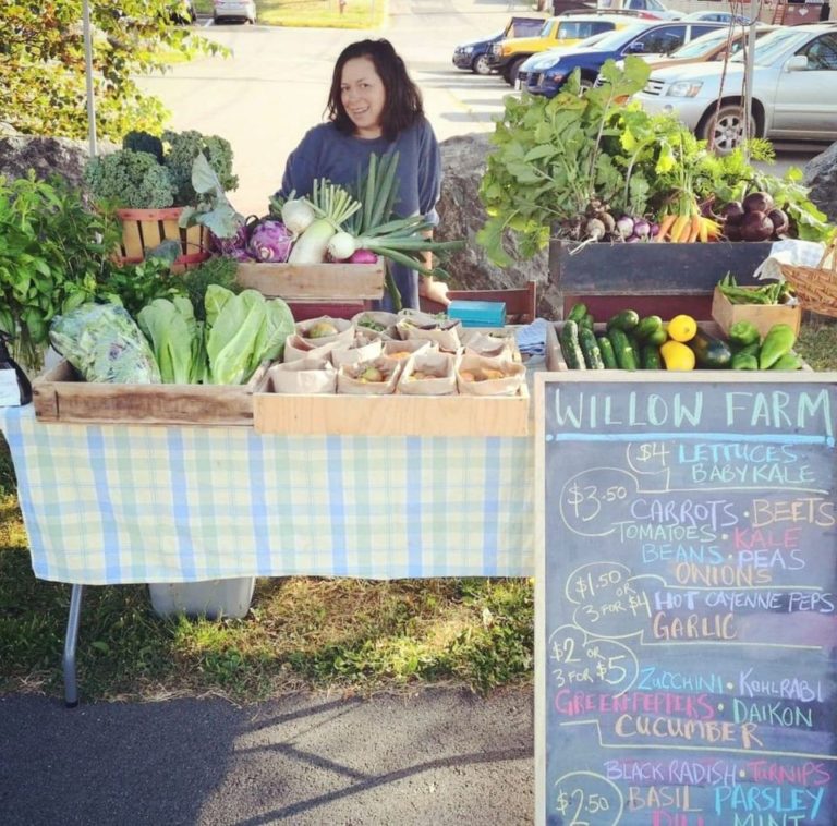The Check-In: Willow Farm