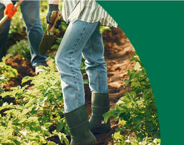 A year in review with Laura Reinsborough, director of Food For All NB