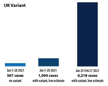 A chart compares the number of cases in New Brunswick if all cases detected in January had been the UK variant of COVID-19.