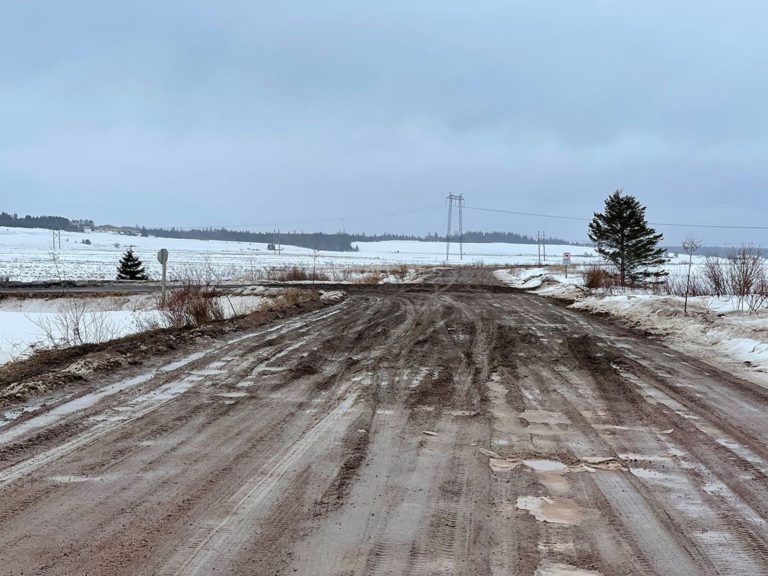 Poor road conditions get attention after Canada Post refuses to deliver mail