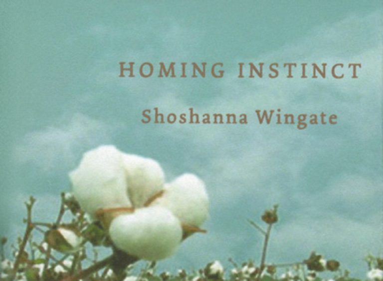 Trauma, connection, and care: Shoshanna Wingate on the power of poetry