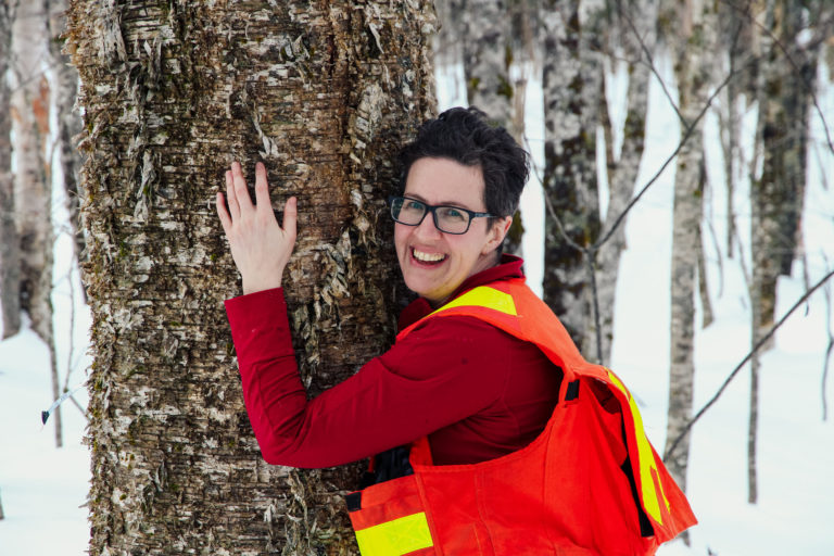 Fundraising underway to protect Acadian forest near Walker Road