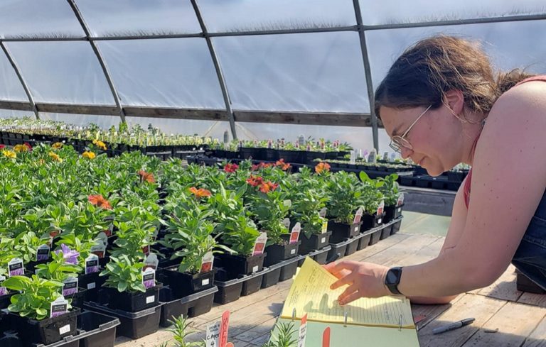 The Check-In: Anderson’s Greenhouse says “pandemic gardening” is not a passing trend