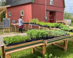 Tessa Kautzman stands in front of display tables with seedlings on them. There is a red barn in the background.