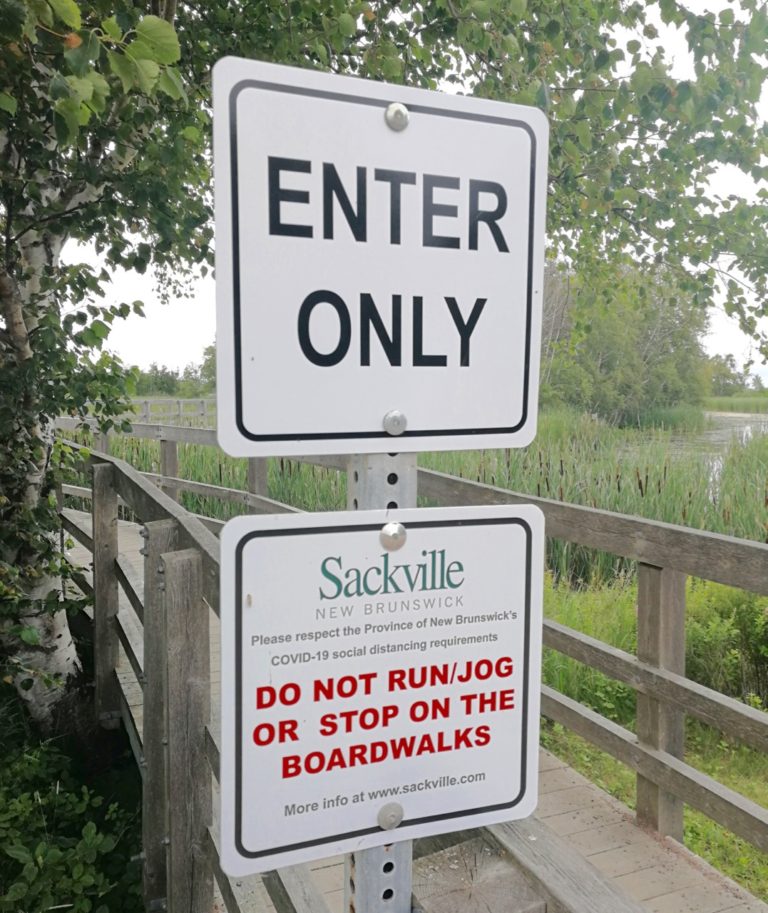 Town and gown going green: Sackville and Mt A release updated rules