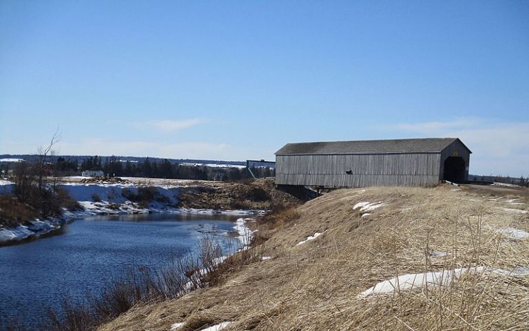Tantramar Report: theatre in the park, walk-in vaccines in town, and illegal dumping on the marsh