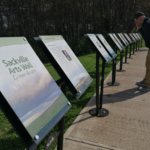 Marilyn Lerch, Janet Crawford and Dan Steeves join the ranks on the Sackville Arts Wall