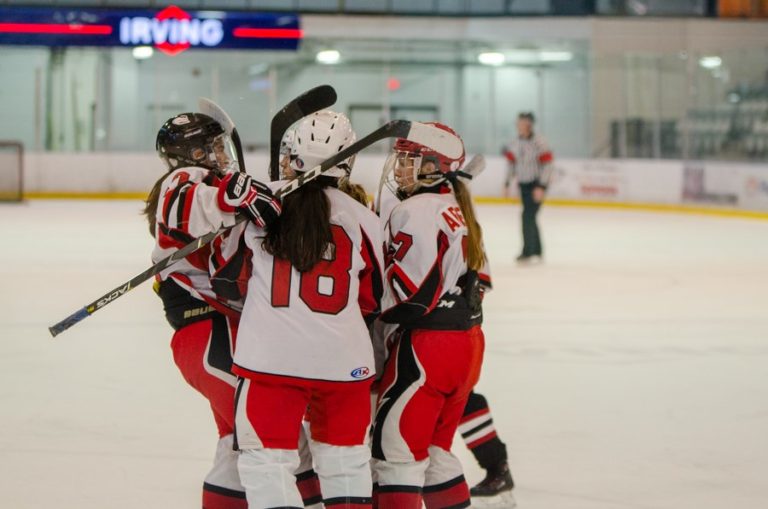 Sackville council considers fee rebate for some sports