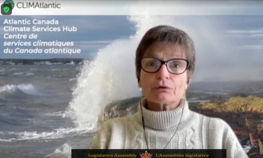 A woman wearing a white turtleneck sweater and glasses speaks in front of a background showing a wave crashing against a shore.