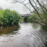 Climate change coordinator, watershed monitoring, wetland education, and energy retrofits in Tantramar among projects funded by NB’s Environmental Trust Fund