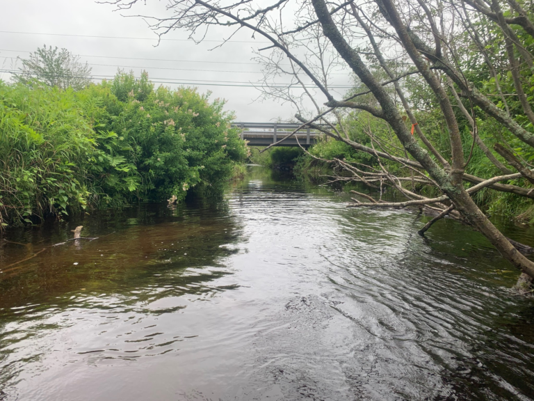 Taking a closer look at the Tantramar River watershed