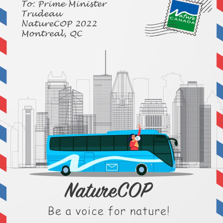 NatureBus stops in Sackville Sunday to gather messages demanding action on biodiversity loss