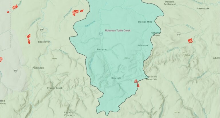 Environmental group maps herbicide use in N.B. forests, tells province to stop spraying protected watersheds