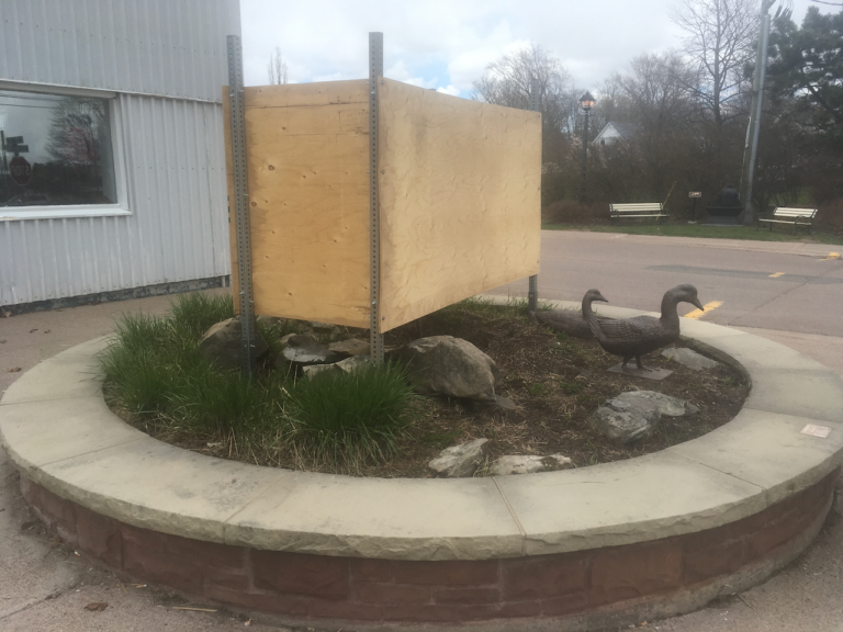 The beleaguered birds of Tantramar: Shep is good to go, but Erin the Heron is in rough shape