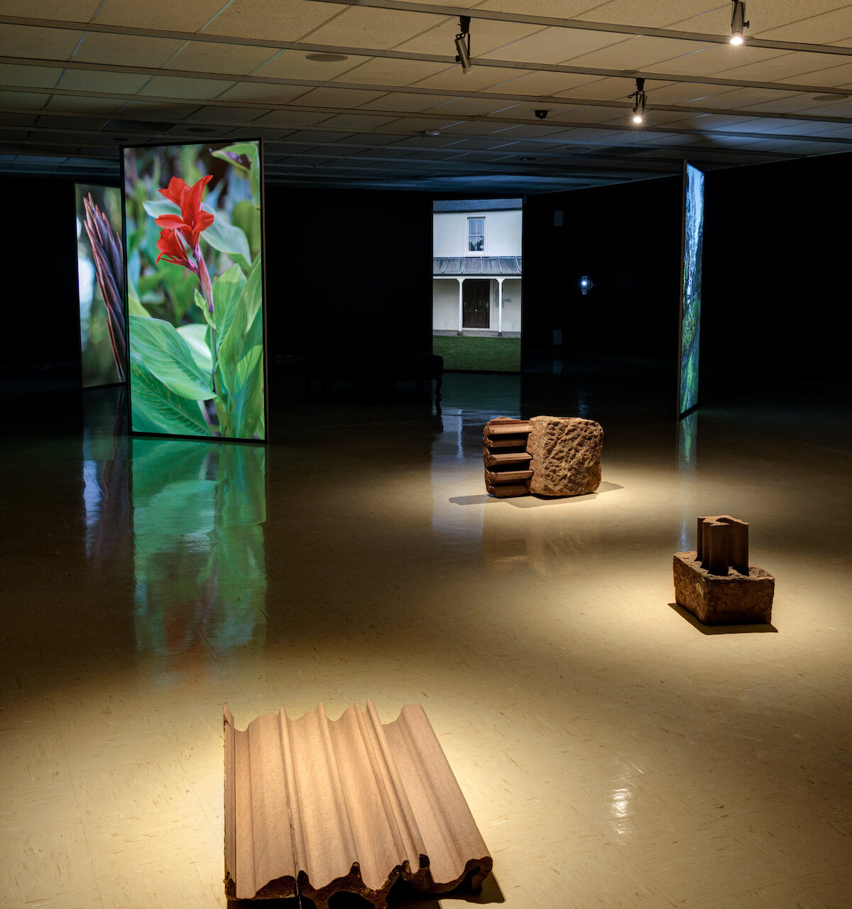Sackville-New Zealand collaborators longlisted for Sobey Art Award