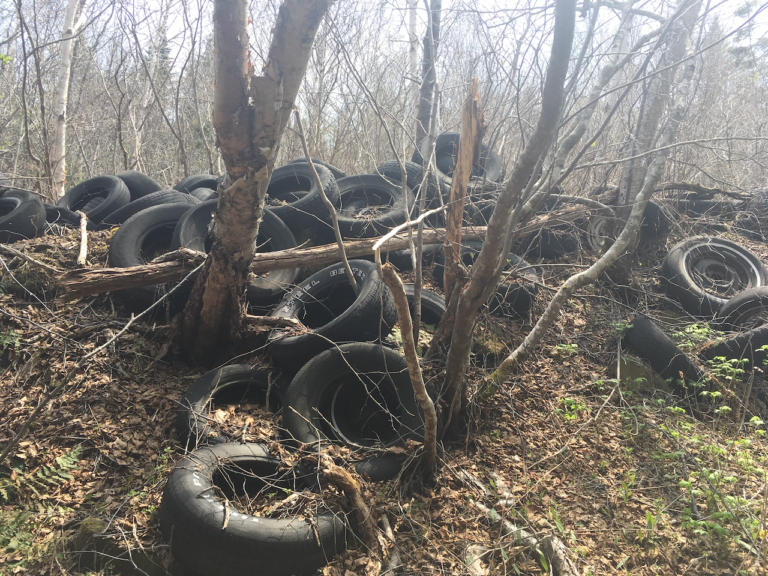 Tantramar resident calls for clean up of dump sites in newly expanded municipality
