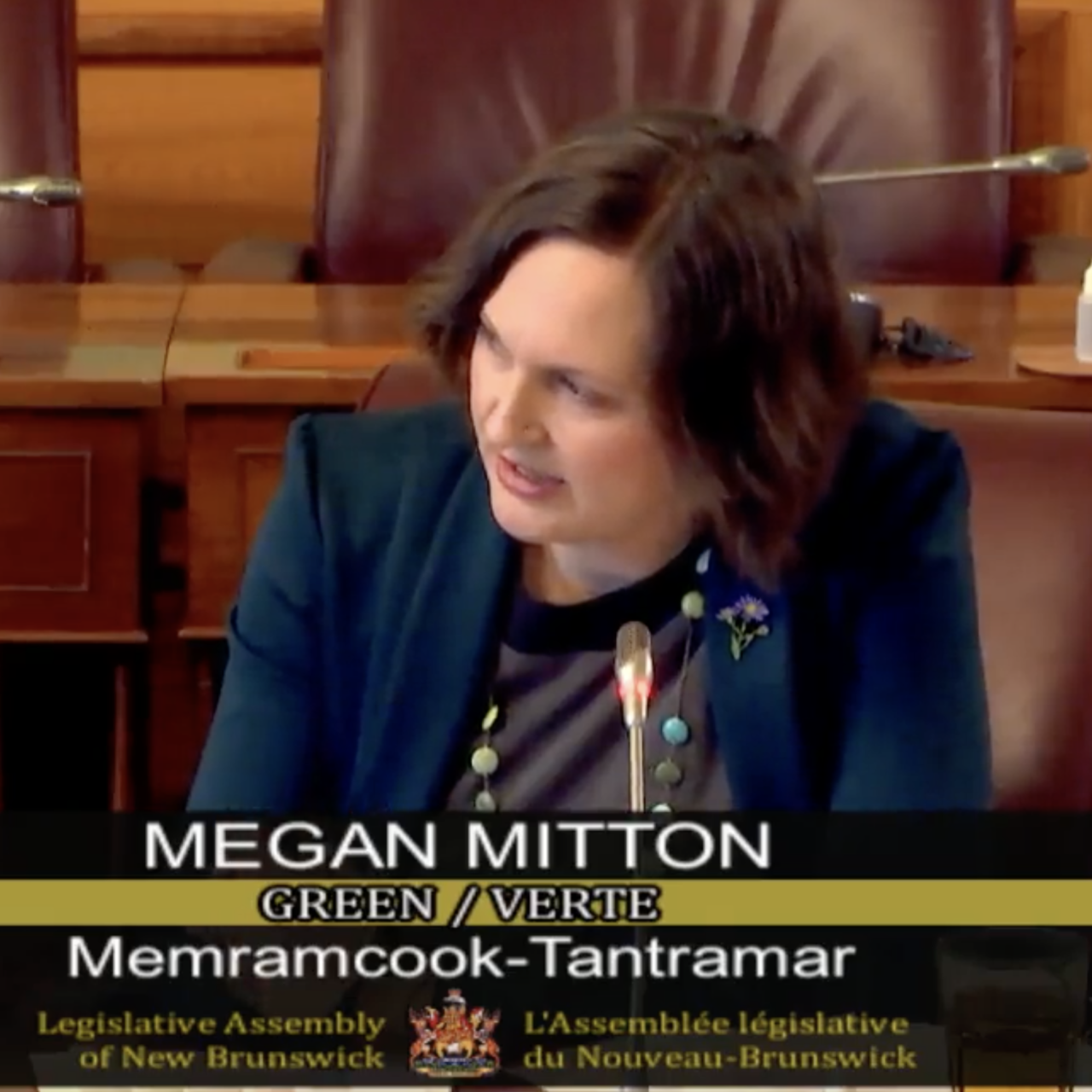 MLAs question health officials on handling of neurological disorder investigation