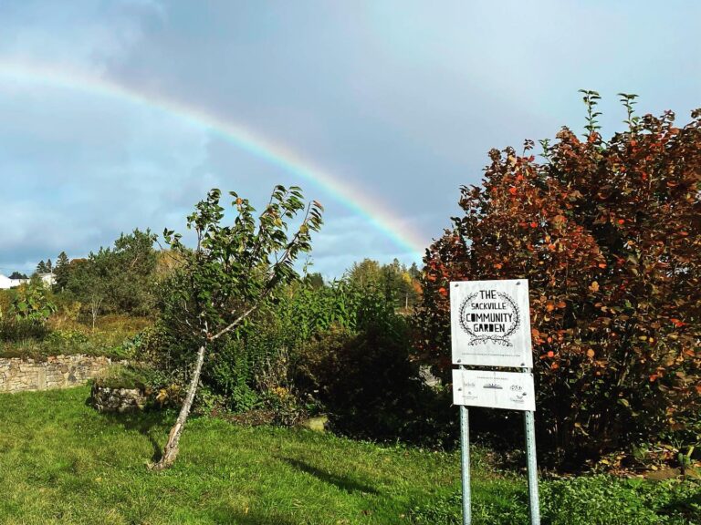 The gardening gloves are off at the Sackville Community Garden