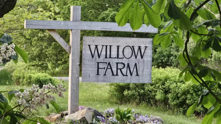Tessa and Gregory scale back Willow Farm, instead of their values