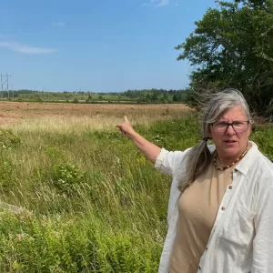 Why here? Potential gas plant neighbours want to know how NB Power chose Centre Village