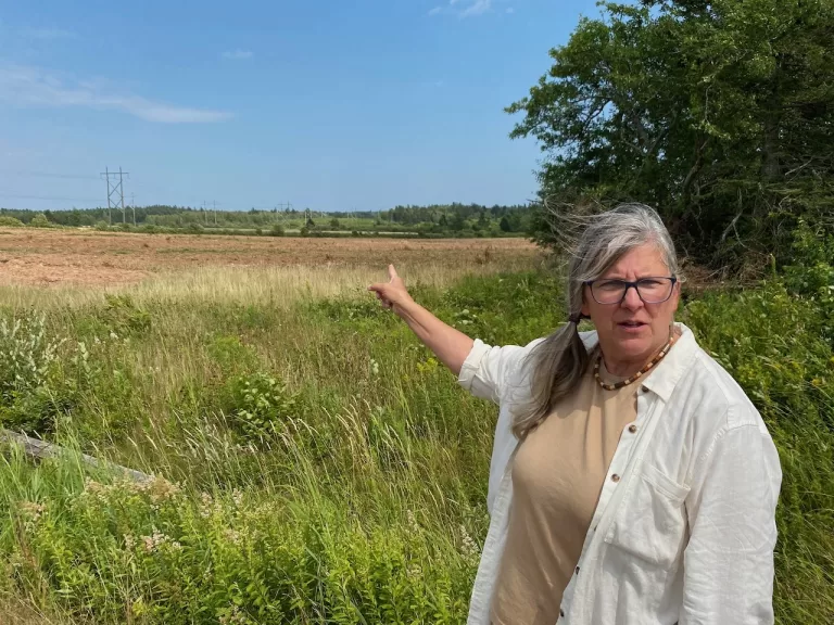 Why here? Potential gas plant neighbours want to know how NB Power chose Centre Village