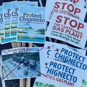 Residents urge Tantramar councillors to oppose proposed NB Power gas plant