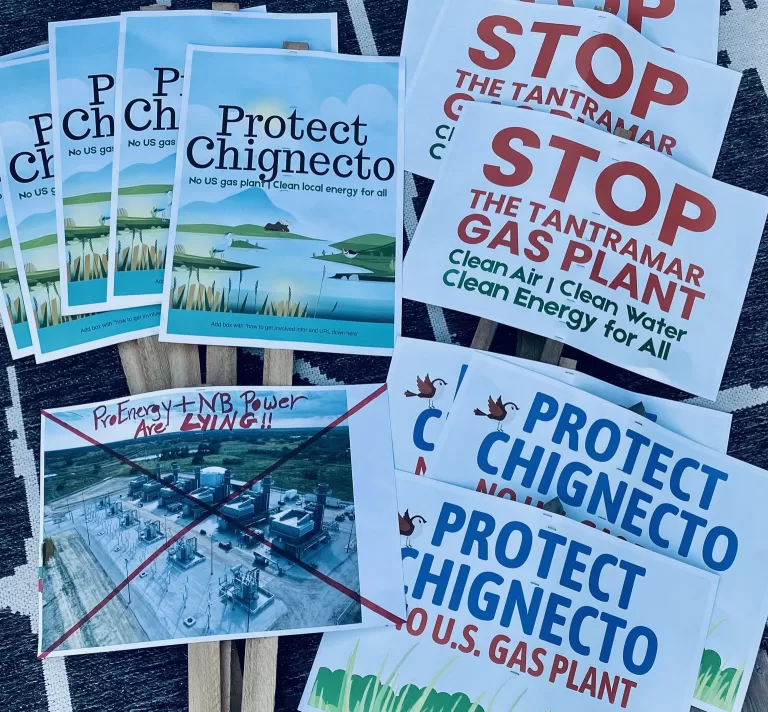 Residents urge Tantramar councillors to oppose proposed NB Power gas plant