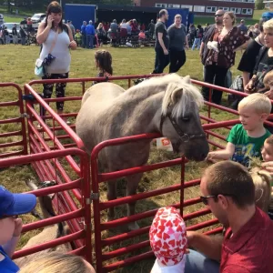 Sackville’s Annual Fall Fair returns for its 23rd year