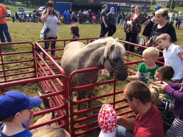 Sackville’s Annual Fall Fair returns for its 23rd year