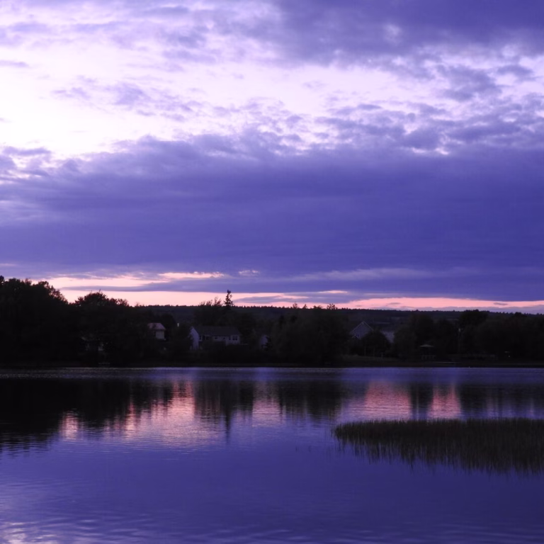 Late November & early December picks for Tantramar: music, theatre, film, workshops and more