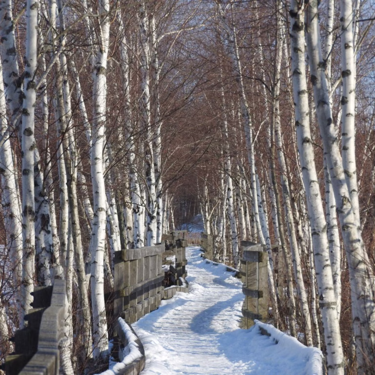 Late January & Early February picks for Tantramar: talks, trivia, theatre and poetry