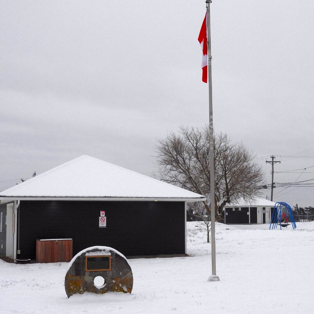 Late January picks for Tantramar: art workshops, trivia, film, books and council business