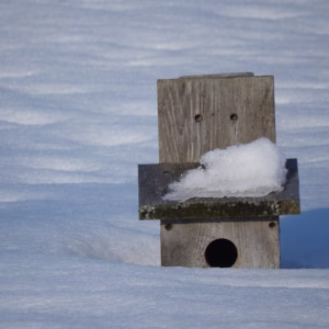 Late February & early March picks for Tantramar: theatre, live music, film, fashion and more