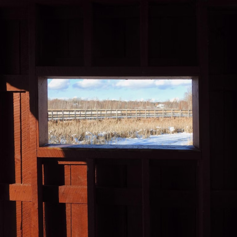 Early February picks for Tantramar: WinterFest , art, music and community events