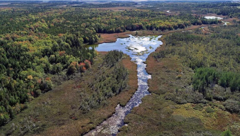 Tantramar council hears renewed push to protect wildlife corridors