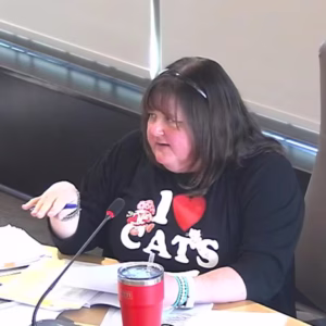 Council delays 10-year recreation plan as councillor raises rural and accessibility concerns