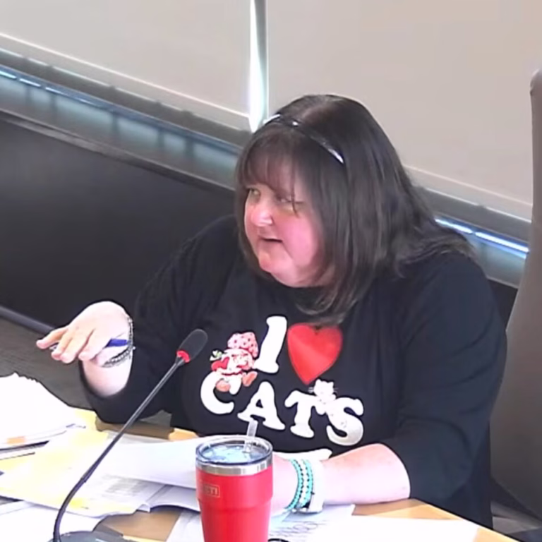Council delays 10-year recreation plan as councillor raises rural and accessibility concerns